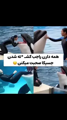 😂💀هوش مصنوعی داره خطرناک میشههه اگه میخای تو کامـ ـنتا دنبال توضیحات نباشی فقط کافیه منو فـ ـالو کنی❤️🫡 #آب #نهنگ #جسیکا #میم #فوريو