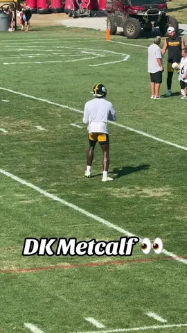 DK Metcalf is a DAWG #Pittsburgh #steelers #nfl #football #dkmetcalf  