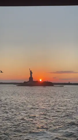 #nyc #fyp 