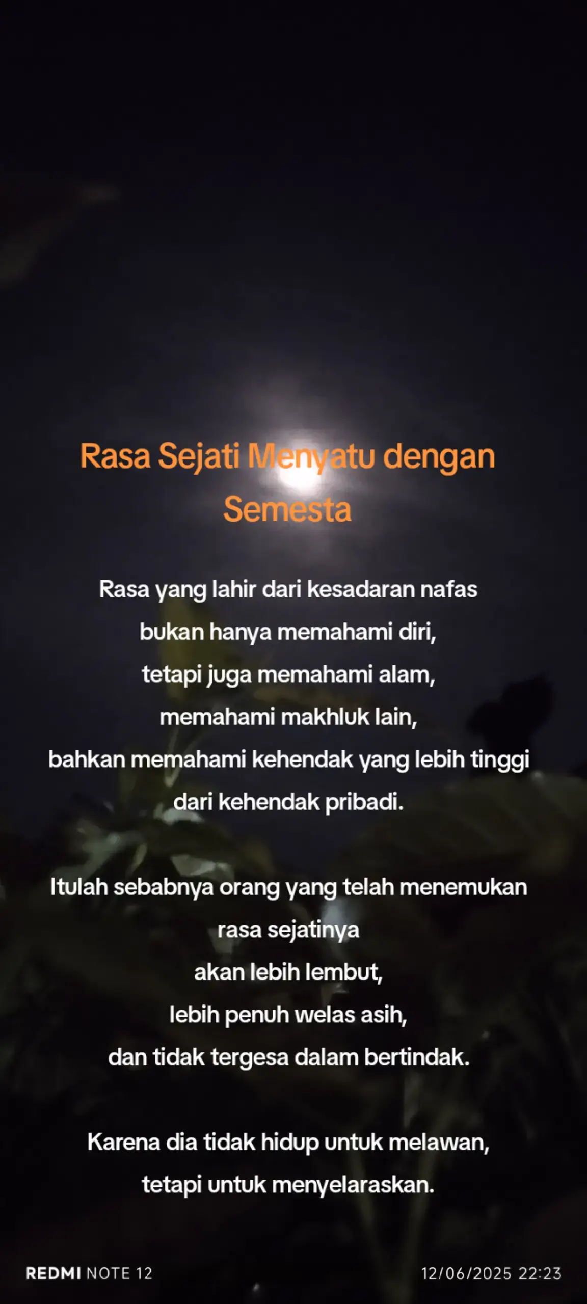 Rasa yang lahir dari kesadaran nafas bukan hanya memahami diri, tetapi juga memahami alam, memahami makhluk lain, bahkan memahami kehendak yang lebih tinggi dari kehendak pribadi. Itulah sebabnya orang yang telah menemukan rasa sejatinya akan lebih lembut, lebih penuh welas asih, dan tidak tergesa dalam bertindak. Karena dia tidak hidup untuk melawan, tetapi untuk menyelaraskan. #ngajidiri #sadar #hening #refleksijiwa 