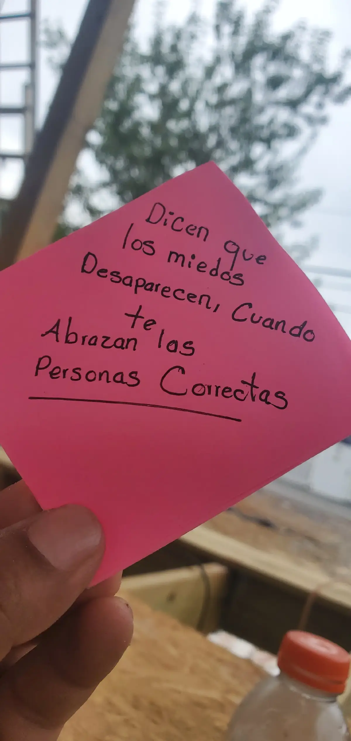 dicen que las cosas bonitas llegan con la persona  correcta #teamoamormio #teamoamormio🥰🌹🤗🌼🌻 #teamodemaciado😍micielo💕 #teamodemaciado😍micielo💕 #teextrañotanto😭😭😭 