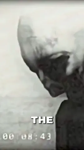 Bob Lazar talks about the Grey aliens that come from the Zeta Reticuli star system 🛸👽 #aliens #uap #ufo #fyp #alienspecies 
