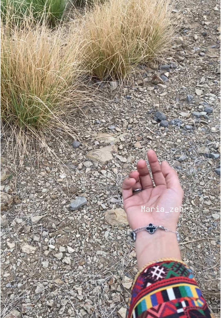 Zehri  ❤️  #maria #zehri #balochistan #trendingnow #baloch #fyppppppppp #✨🦋 #fyppppppppppppppppppppppp #lumawatan #fyp 