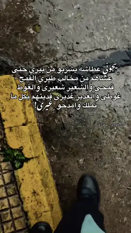 #البيضاء_الجبل_الاخضر #جامعه_عمر_المختار_البيضاء #لايك__explore___ #اعادة_نشر🔁 