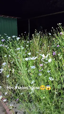 Ніч з монстром😱😱🥺