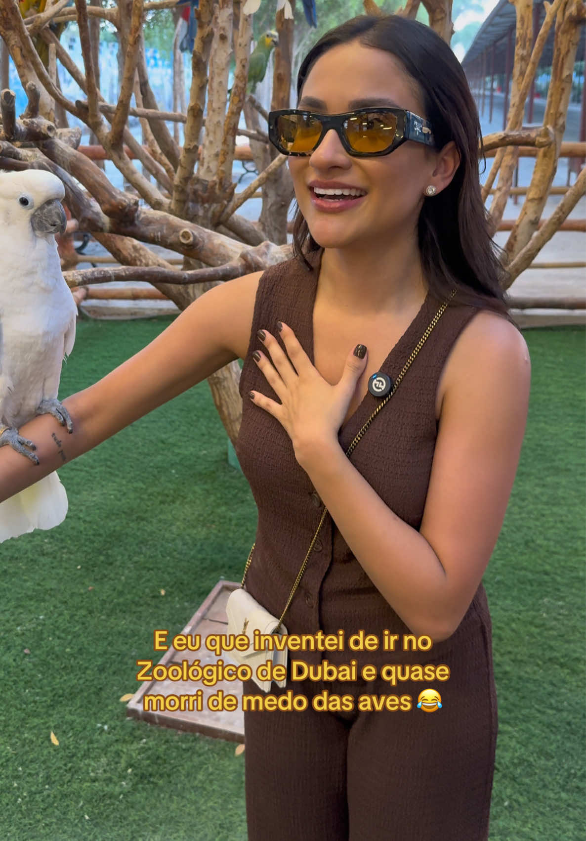 Ganhei uns apertos e arranhões 😂 #meme #rakzoo #dubai 