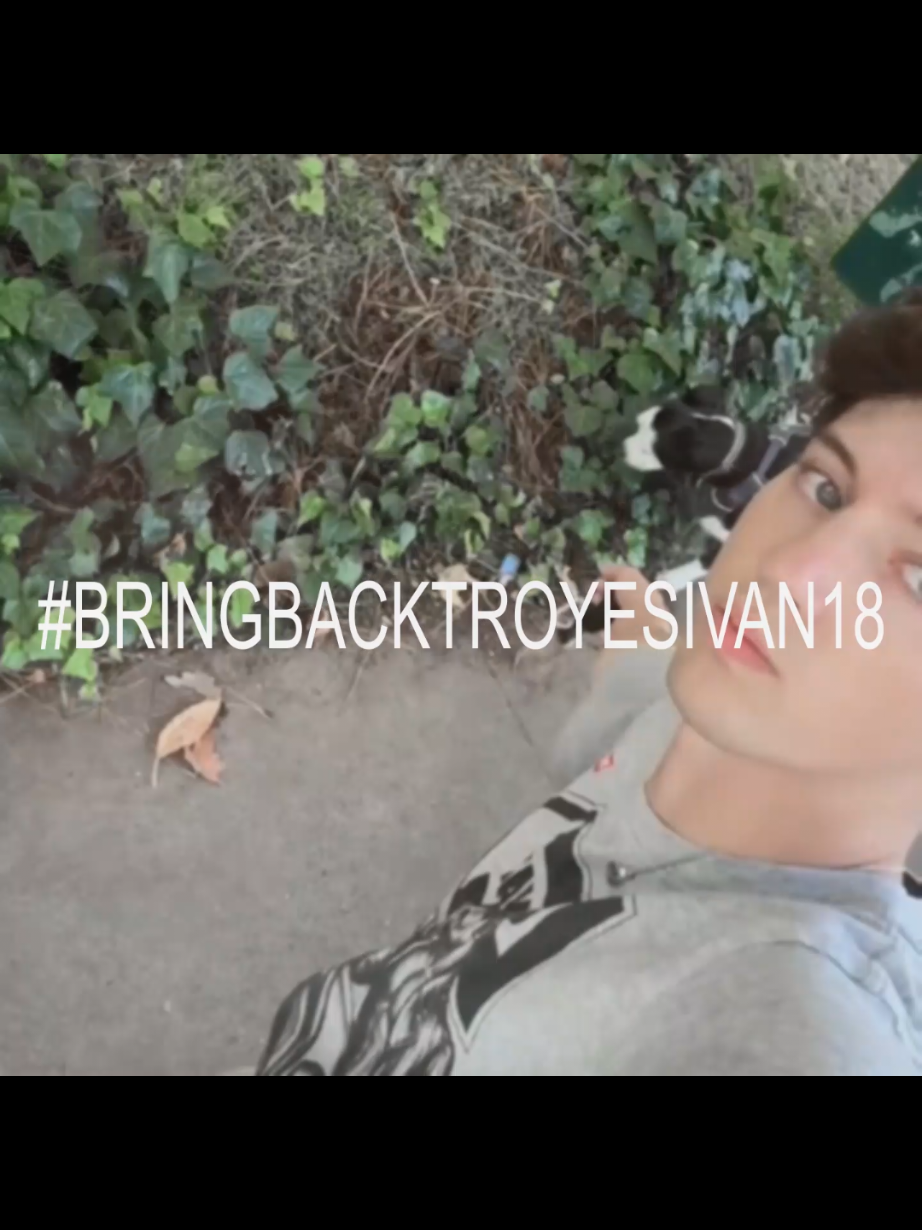 #TROYESIVAN needs to bring back troyesivan18. I dont make the rules. | @Troye Sivan | #edit #charlixcx #sweat #brat 