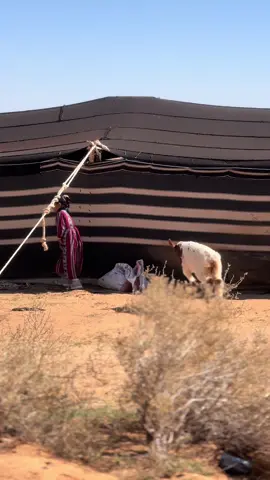 #اكسبلور 