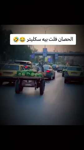 فلت بيه سكليتر الحصان #السماوه #بنات #بغداد #العراق #الشعب_الصيني_ماله_حل😂😂 