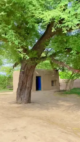 Real Peaceful Village Life #villagelife 