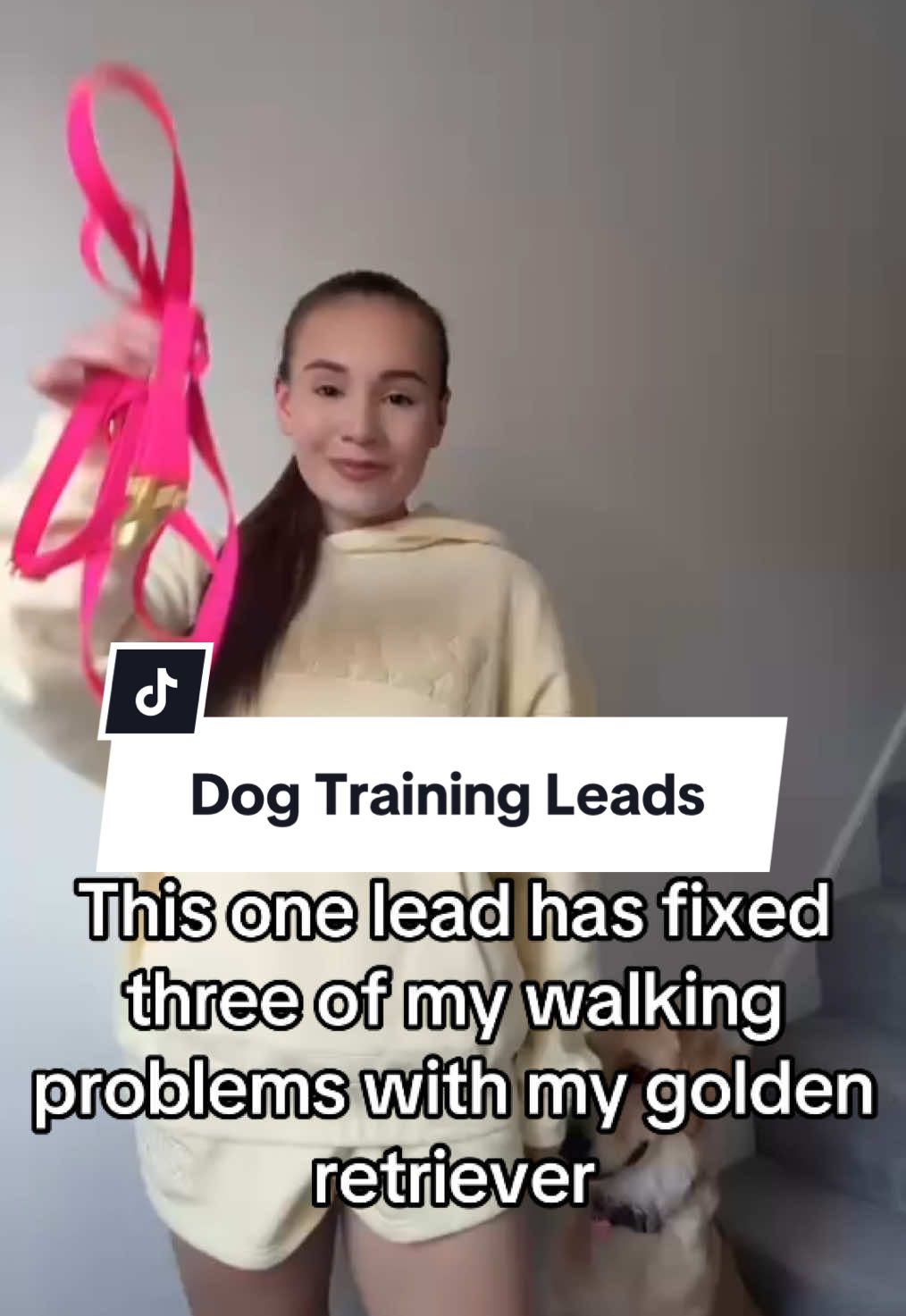 Our 4in1 handsfree dog leads are a game changer for your dog walks. Dog training✅ Reduce dog pulling✅ Enjoy your dog walks handsfree✅#gotwagged yet? #DogTraining #dogtok #fyp #ukdogsoftiktok 