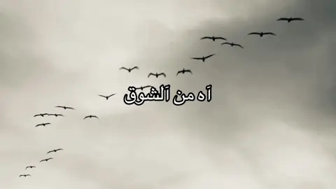 #⛷️_⛸️ 