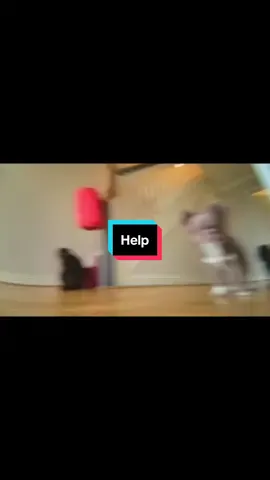 Not the pet cam tripping out because they were ganging up on it