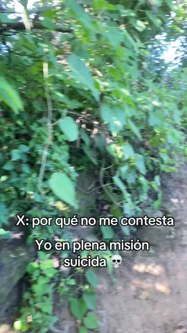 Andaba desafiando las leyes de la física  #mtb #fyp #random #23 