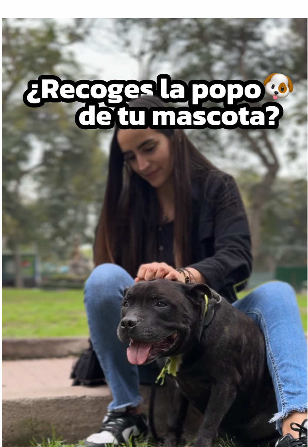 🐶💩 No es solo cuestión de respeto, es de cuestión responsabilidad. Cada vez que recoges los desechos de tu perro cuidas el parque, a tus vecinos y construyes un mejor Perú. 🇵🇪💙   #Mascotas #Resposabilidad #Educación #UnMejorPerú #Respeto