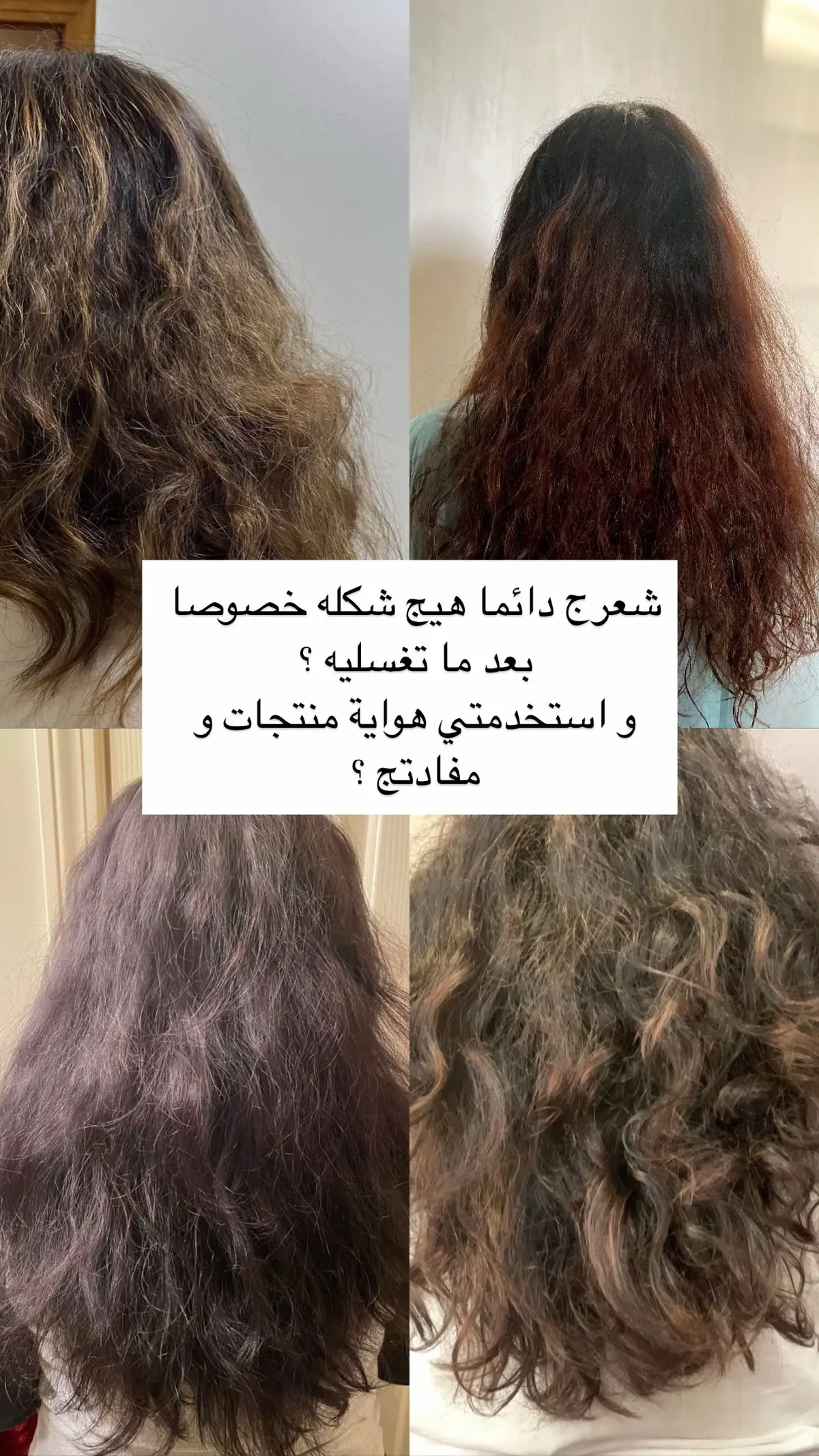 #creatorsearchinsights #اكسبلورexplore #الشعب_الصيني_ماله_حل😂😂 #fypシ゚viral #فرط_البروتين 