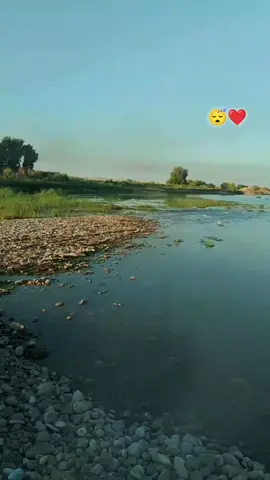 #قران_كريم 