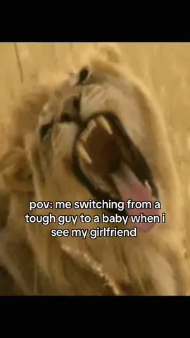 #catsoftiktok #funny #couplecomedy #ilovemygf #fyp 