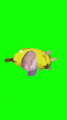 greenscren meme kucing tidur #memekucing #kucing #greenscreen 