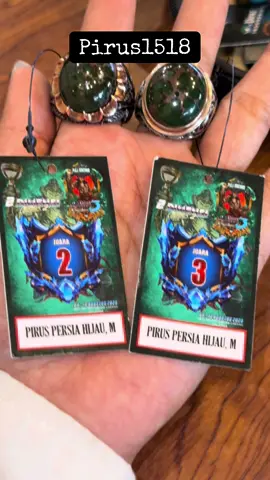 #pirus #batupirus #pirushijau #piruspersia #piruslawasan 