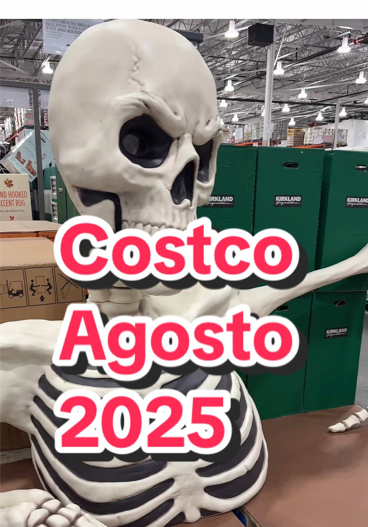 Costco haul @Costco Wholesale #costco #costcofinds #costcotiktok #costcobuys  @evasachsdesigns  @evasachsdesigns  @evasachsdesigns 