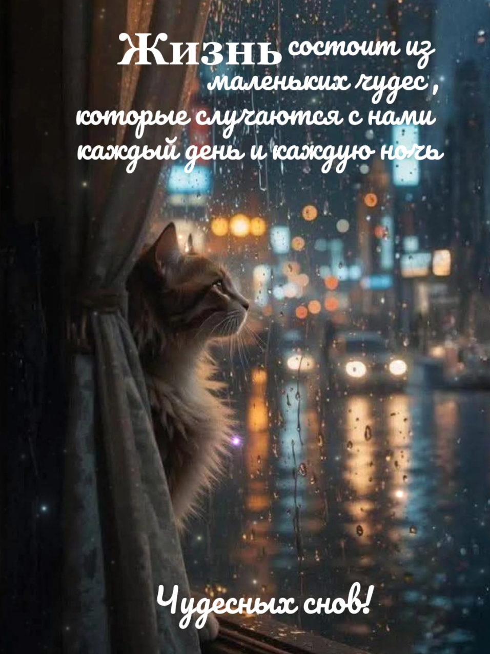 #спокойнойночи #сладкихснов #добройночи #добро #открыткаспокойнойночи 