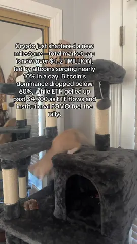 #crypto #cryptonews #news #bitcoin #cryptocurrency 