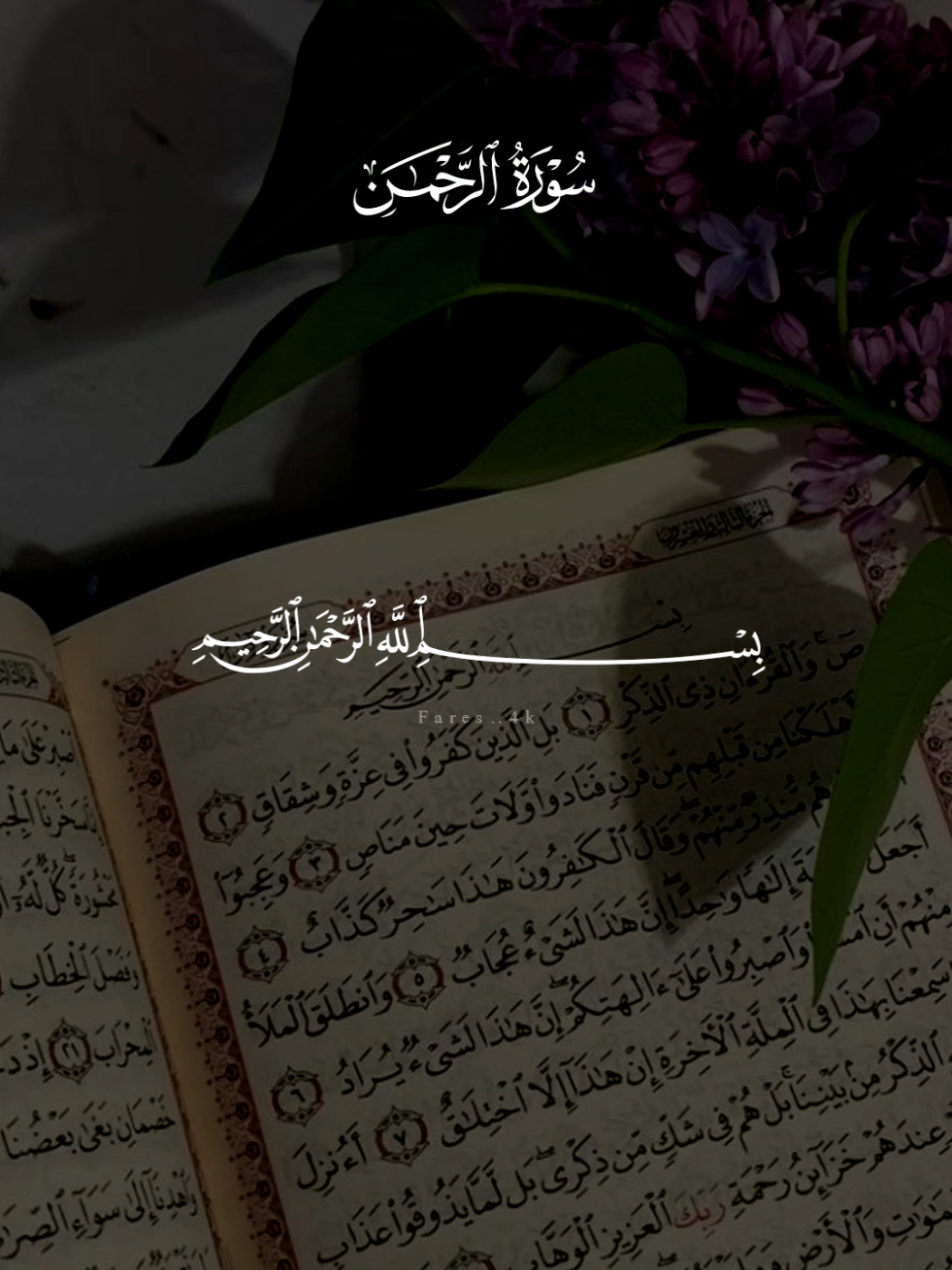 سورة الرحمن كامله 🩶 #قران #علاء_عقل #quran #سورة_الرحمن #قران_كريم 