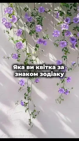 Яка ти квітка по знаку зодіаку…#астрология #номерология #квіти #flowers #знакизодиака 
