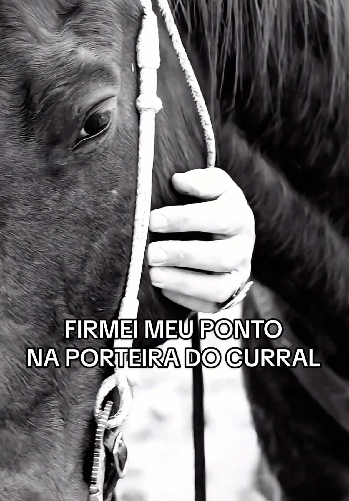Firmei meu ponto na porteira do curral! #boiadeiro #juremasagrada #umbanda #fyp #pontosdeumbanda 