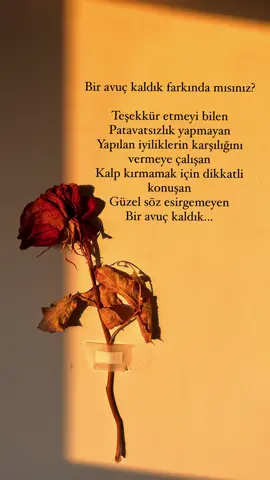 🌹🖤