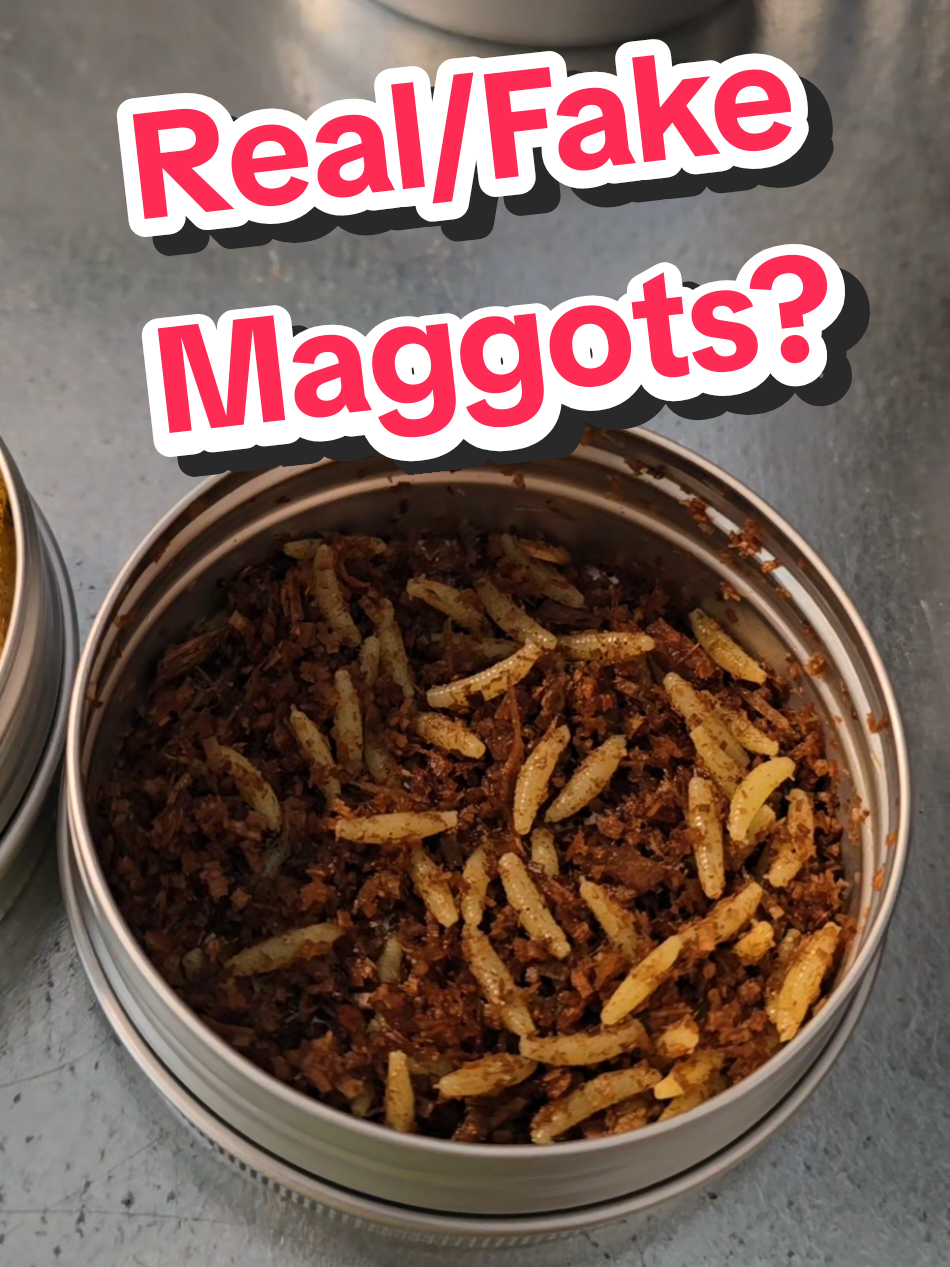 Take your fishing game to the next level with Crap Slap Magz—the only lure that combines real maggots with the durability of a plastic bait! We start with freeze-dried maggots, preserving their natural scent and irresistible texture, then infuse them into a high-quality soft plastic that mimics the real deal. The result? A bait that looks, smells, and tastes natural, but lasts cast after cast! #fishtok #crappie #fishing #panfish #fyp 