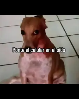 es un sonido relajante 🙂‍↔️