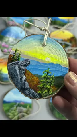 🪨 #BlowingRock #theblowingrock #blueridgemountains #painting #cherokee
