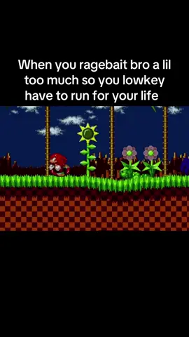 #fyp #viral #ragebait #sonicthehedgehog #knuckles 