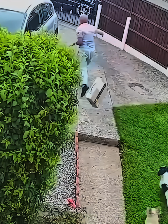Poor Delivery Guy 🤣🥱🤦 #funny #delivery #fail #Home #funnymoments 