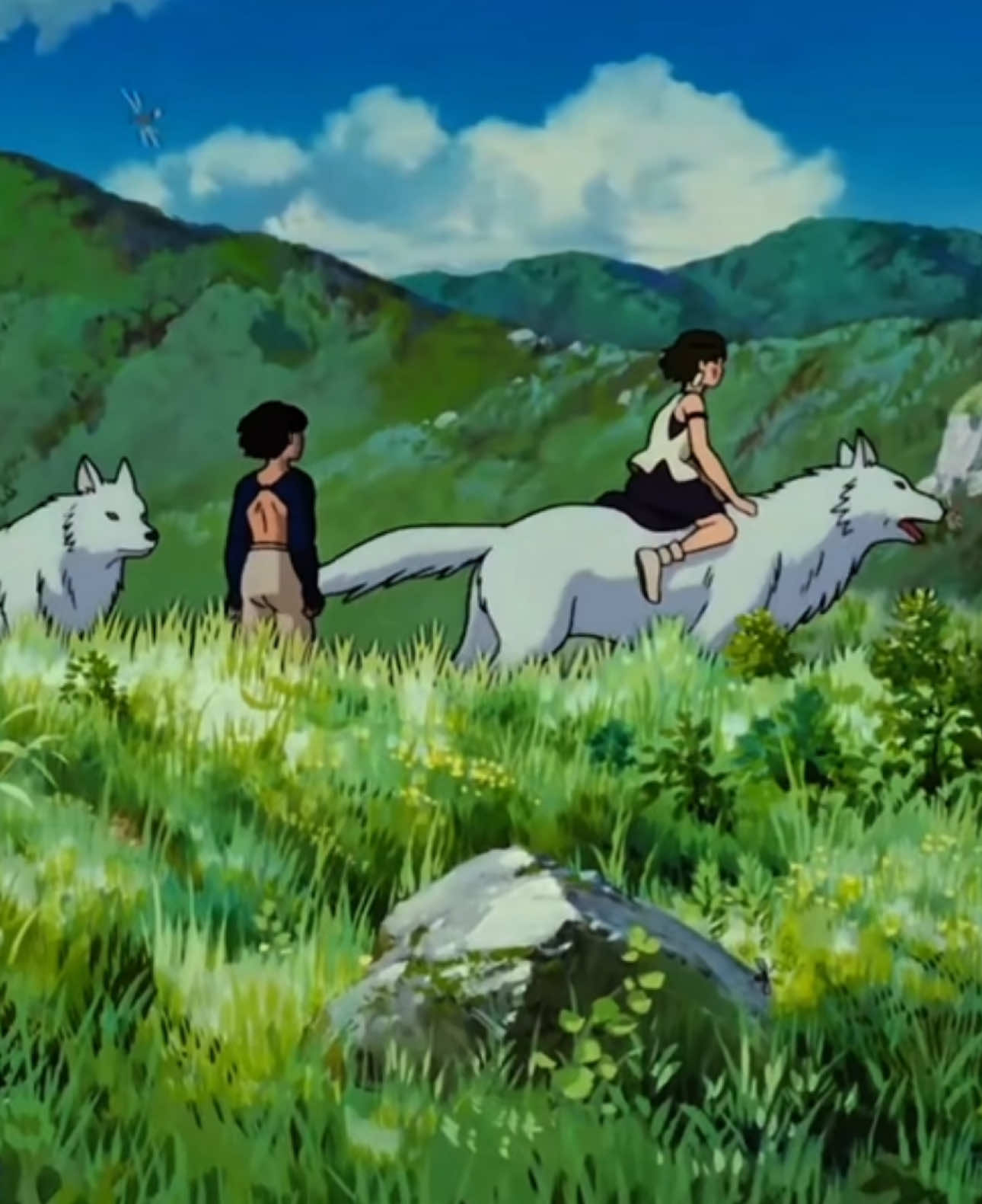 Studio Ghibli is magic #studioghibli #stvlightss #hayaomiyazaki #edit 