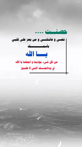 ربي استودعتك كل شيء يحبه قلبي#يارب❤️ #foryou #foryoupage #fypシ゚ 