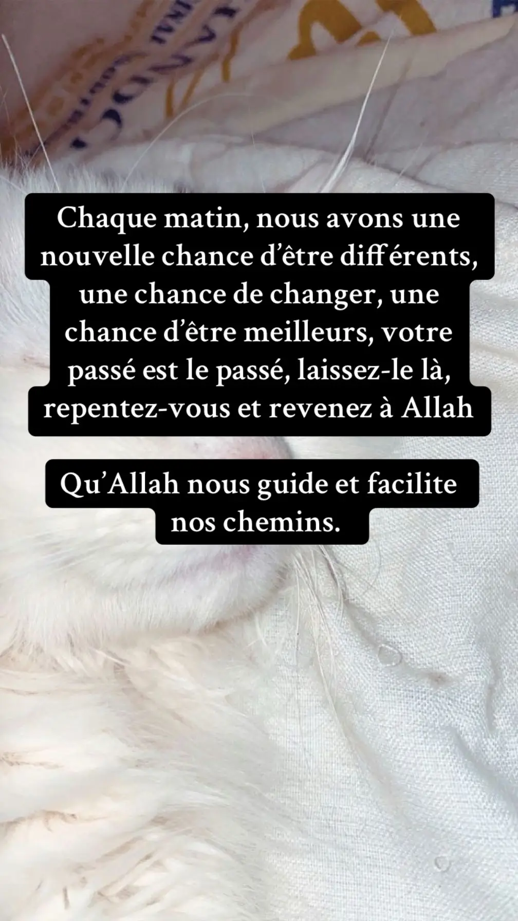 #rappels_islam #islamic_video #foryoupage❤️❤️ #pourtoii #tik_tok 