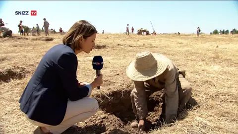 Le grandi scoperte dell'archeologia. E i nomi che non ti aspetti. SNIZZ TV sul campo per un'importante scoperta archeologica. Ma la vera rivelazione non sono le ossa, ma il nome dell'esperto. Un nome che è tutto un programma. Taggate un amico con un nome altrettanto epico. 👇 ​#Archeologia #Scoperta #Veneto #MemeVeneto #NomenOmen 