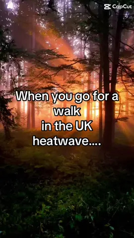 Going for a walk in the UK in the summertime #britishsummer #heatwave #binjuice #bins 