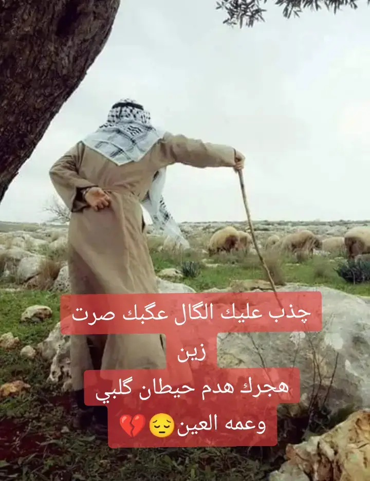 #ذواقين__الشعر_الشعبي #حركة_إكسبلور #والسماوه #ولايتي 