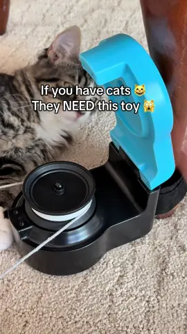The toy they’ll never get bored of 🎯 #catfunny #interactivecattoy #petmusthaves #fyp #cattok  