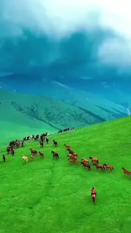 #foryou #foryoupagе #foryou #تەوحید #viral 