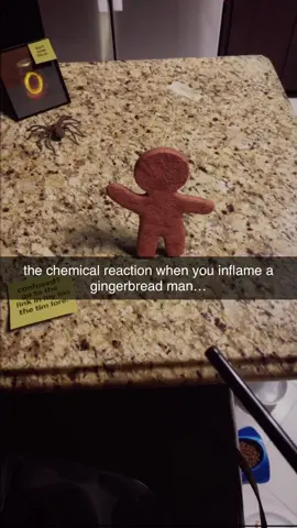 cant believe this happened… #fyp #4d_buildss #gingerbreadman 