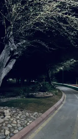 مساء الخير ♥️🥀🚶🏻‍♂️🚶🏻‍♂️🚶🏻‍♂️