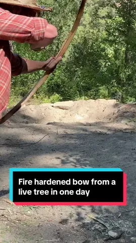 How I make a fire hardened recurve short bow from a live tree in one day. Full video on YT #fyp #survival #archery #bushcraft