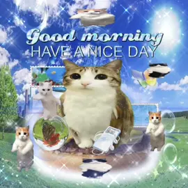 GOOD MORNING HAVE A NICE DAY!!! 🐈 #frutigeraero #sillycat #viralcat #catsoftiktok #brainrot 
