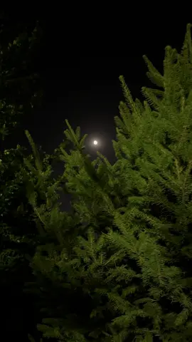 #بدوموسيقى @بدون موسيقى 