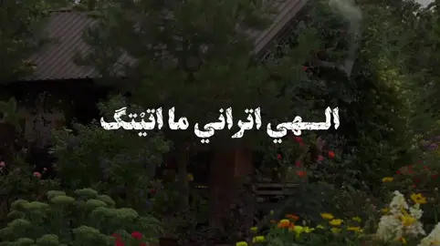 الهي أتراني ما أتيتك إلا من حيث الامال #دعاء #دعاء_الصباح #foryou #fyp #اباذر_الحلواجي 